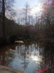IMG-20240307-WA0007.jpg