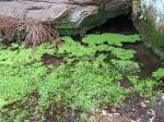 IMG-20240307-WA0016.jpg