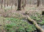 IMG-20240307-WA0022.jpg