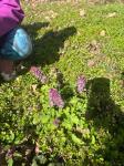 IMG-20240312-WA0034.jpg