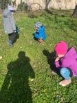 IMG-20240312-WA0037.jpg