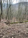 IMG-20240318-WA0028.jpg