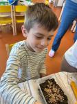 IMG-20240322-WA0038.jpg