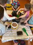 IMG-20240322-WA0036.jpg