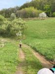IMG-20240415-WA0031.jpg