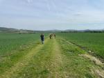 IMG-20240415-WA0020.jpg