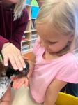 IMG-20240415-WA0047.jpg