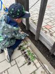 IMG-20240415-WA0057.jpg