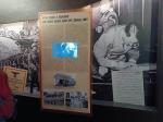 IMG-20240605-WA0009.jpg