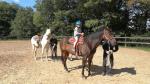 IMG-20240611-WA0042.jpg
