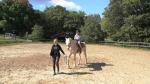 IMG-20240611-WA0021.jpg