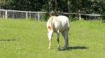 IMG-20240611-WA0149.jpg