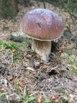 IMG-20240617-WA0032.jpg