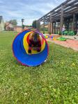 IMG-20240621-WA0038.jpg