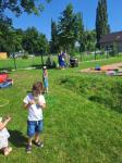 IMG-20240627-WA0027.jpg