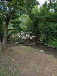 IMG-20240725-WA0014.jpg