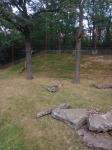 IMG-20240725-WA0005.jpg