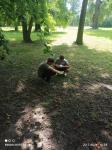 IMG-20240723-WA0069.jpg