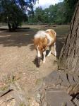IMG-20240729-WA0000.jpg