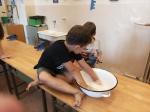 IMG-20240729-WA0008.jpg