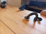 IMG-20240729-WA0018.jpg