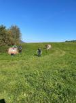IMG-20240923-WA0007.jpg