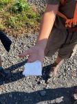IMG-20240923-WA0003.jpg