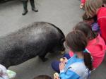 DSC04605.JPG