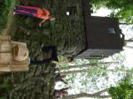 DSCF9884.jpg
