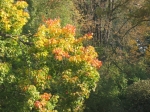 12. 10. 2005 309.jpg