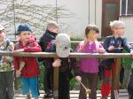 IMG_6296.jpg