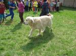 IMG_6299.jpg