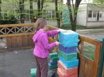 IMG_6286.jpg