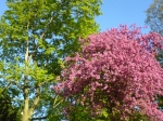 DSC00115.JPG
