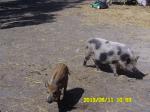 Výlet Zababeč 033.jpg