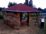 IMG_20130920_120430.jpg