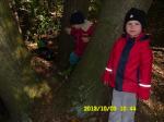 MŠ 2013 008.jpg