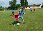 P1450642.jpg