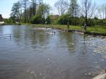 DSC01672.JPG