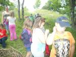 DSCN0466.jpg
