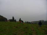 ří-2015 052.jpg